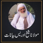 hazrat molana sheikh idrees ba android application logo